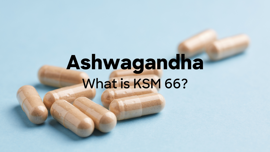 Ashwagandha vs Ashwaganhda KSM 66