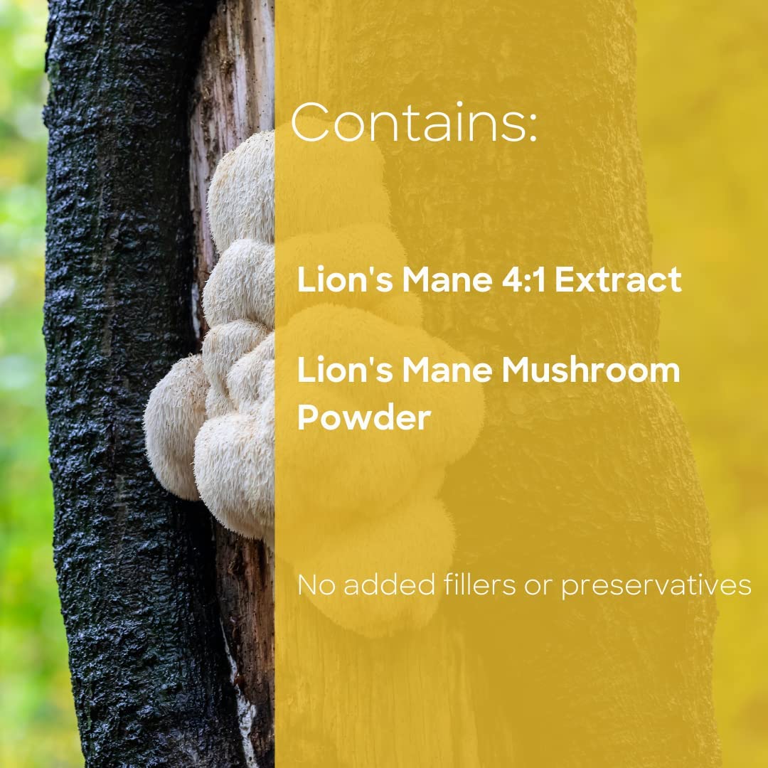 Lions Mane Mushroom Capsules